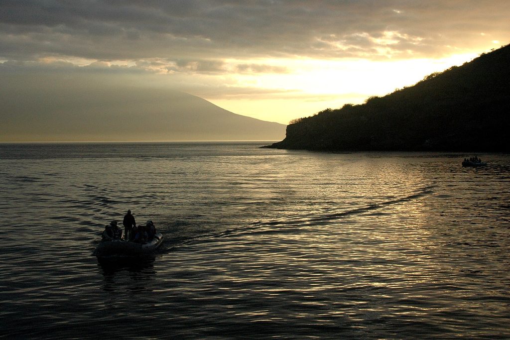Pangas at anchor in Tagus Cove, Isabela, at sunset